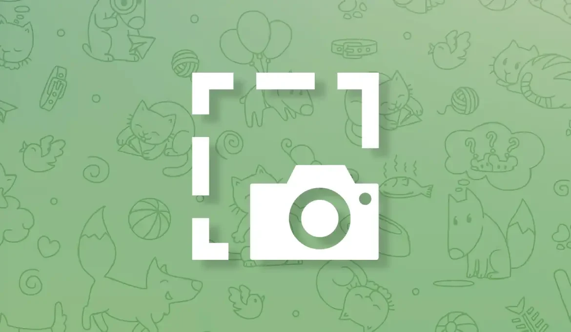 uploading background wallpaper for chat